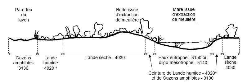 schéma landes